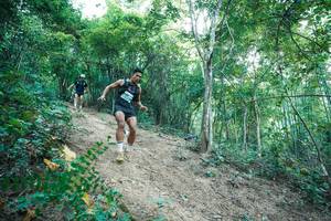 BIB: 
                            <button type="button" onclick="openModal(28161499)" class="btn btn-primary btn-sm float-right btn-popup" data-toggle="modal" data-target=".modal-high-quality">
                        <i class="fas fa-shopping-cart"></i> Add to Cart
                    </button>
                                            <button type="button" onclick="isThisMe(28161499, true)" class="btn btn-success btn-sm float-right btn-popup btn-isme hidden" data-toggle="tooltip" data-placement="bottom" title="นี่คือรูปของคุณใช่ไหม คลิกที่นี่เพื่อเอาเข้าอัลบั้ม">
                        <i class="fas fa-plus"></i> Add to album
                    </button>
                    <button type="button" onclick="isThisMe(28161499, false)" class="btn btn-warning btn-sm float-right btn-popup btn-isnotme hidden">
                        <i class="fas fa-ban"></i> Remove from album
                    </button>